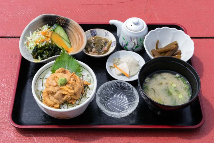 北の岬 さくらばなのウニ丼定食