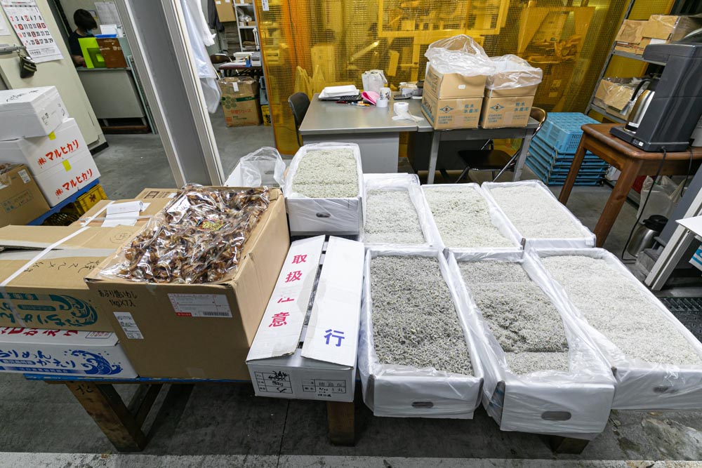 京都市中央市場　有限会社京伸食品様の撮影　続編