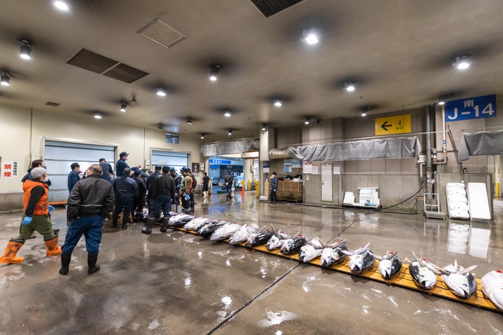 マグロ専門の株式会社稲三商店様(大阪市中央卸売市場本場)の撮影