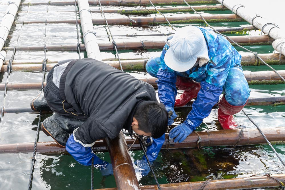 株式会社公栄水産様の撮影　牡蠣の養殖場へ