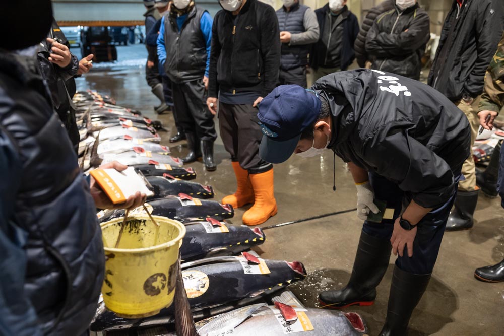 マグロ専門の株式会社稲三商店様(大阪市中央卸売市場本場)の撮影