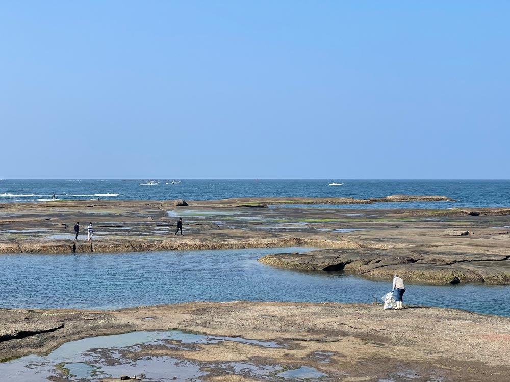 天神崎を掃除するボランティア