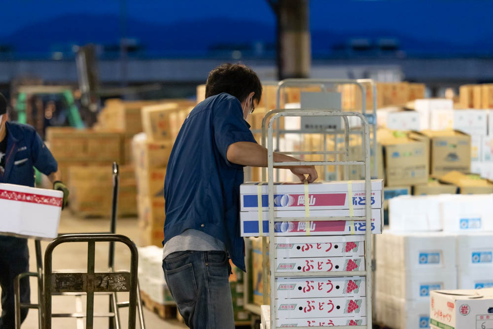 奈良県中央卸売市場