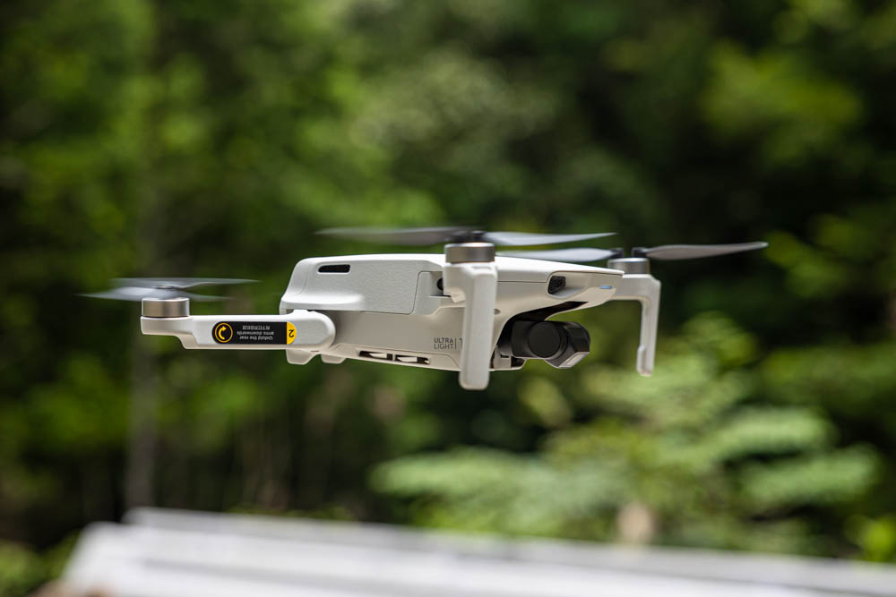 DJI Mini 2で林業の撮影
