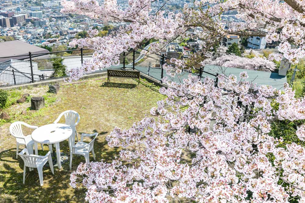 静養院の屋根の上から