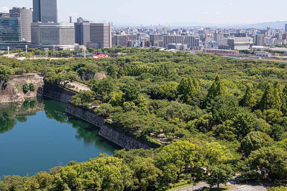 大阪城公園でドライフルーツの撮影