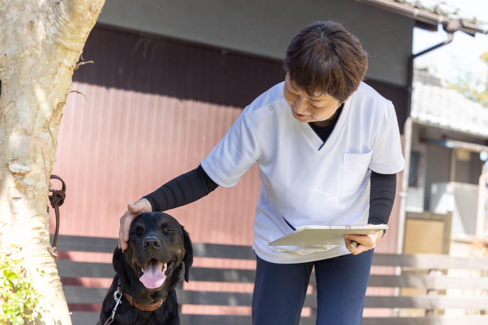 犬の整体 KiaOra様の撮影