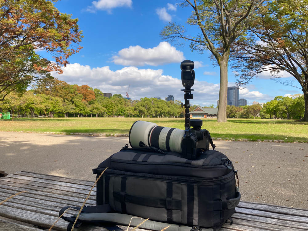 大阪城西の丸庭園で集合写真撮影