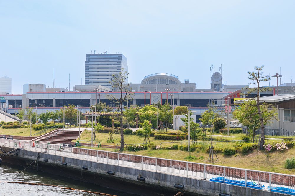 大阪市中央卸売市場-鶏肉専門店ツムラ食品株式会社様の撮影