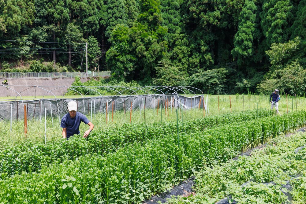 野村フラワーフラワー様の撮影